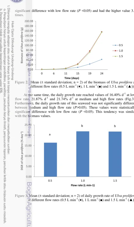 Figure 2.  Mean (± standard deviation; n = 2) of the biomass of Ulva prolifera at 