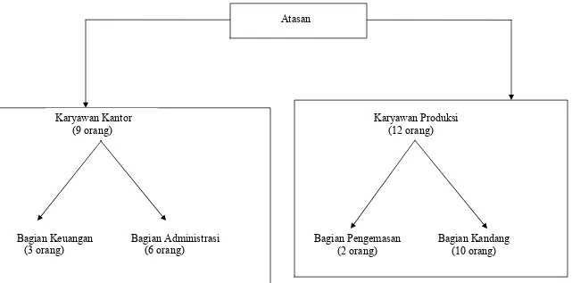 Gambar 2. Struktur Organisasi Operasional Perusahaan Rian Puspita Jaya 