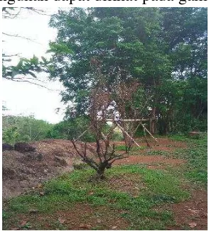 Gambar 4. Kondisi Eksistensi Area outbond di Kebun Buah Mangunan 