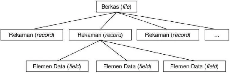 Gambar 2.3 Berkas Data 