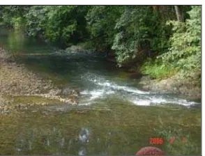 Figure 1.3: River  