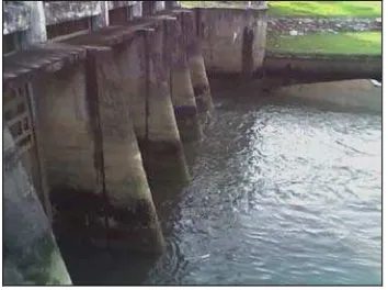 Figure 1.4: Drain 