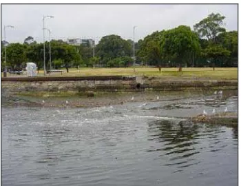 Figure 1.6: Lake 