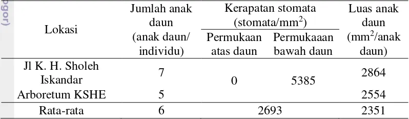 Tabel 2  Karakteristik internal anakan kenari (Canarium commune) 