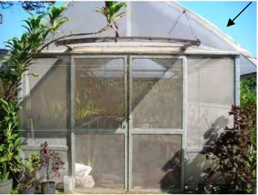 Gambar 2. Greenhouse dengan Plastik Selektif Film sebagai Cover. 