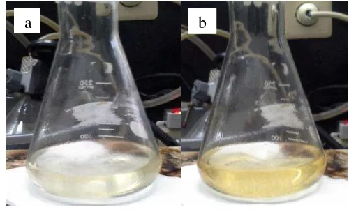 Gambar 3  Larutan 2-metoksinaftalena sebelum (a) dan sesudah (b) klorinasi 