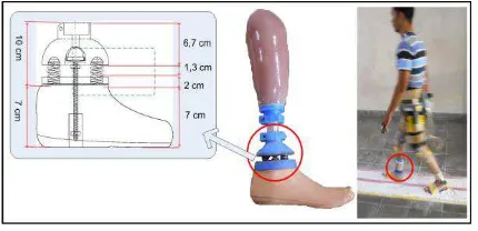 Fig. 2. Ankle joint multi-axis with energy store-return 