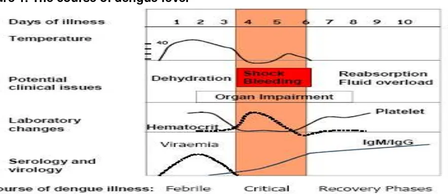 Figure 2. Dengue case classification by severity 