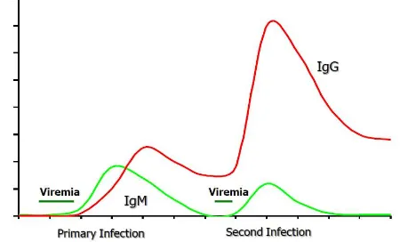 Figure 3. Virological and serological markers of dengue infection according to time of illness 