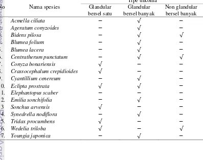 Tabel 2 Tipe trikoma pada anggota famili Asteraceae yang dijumpai di Kampus IPB 