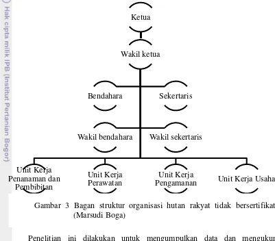 Gambar 3 Bagan struktur organisasi hutan rakyat tidak bersertifikat 