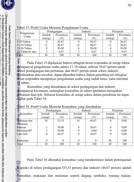Tabel 15. Profil Usaha Menurut Pengalaman Usaha 