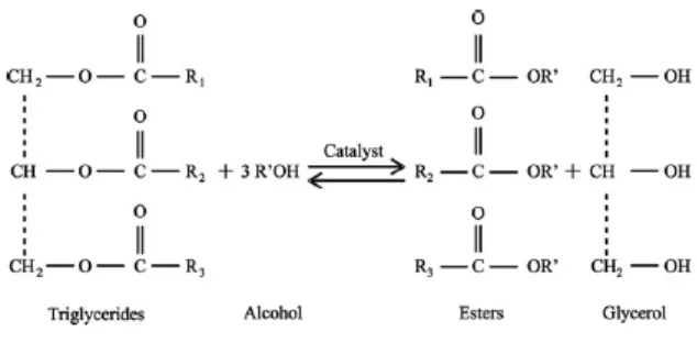 Figure 1.0 Transesterification Reaction 