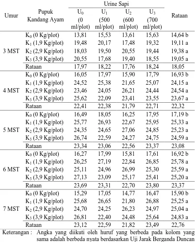 Tabel 1.  Rataan tinggi tanaman (cm) bawang merah umur 3 - 7 MST pada perlakuan pemberian pupuk kandang ayam dan urine sapi 