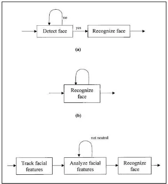 Figure 2.1: Typical approaches to face recognition 
