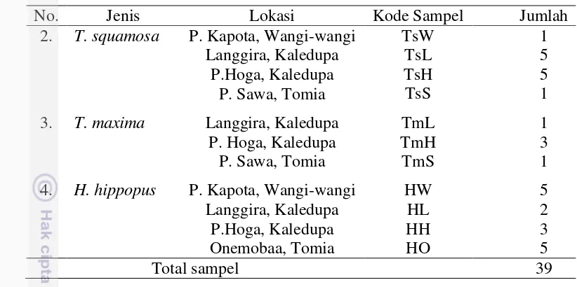 Tabel 5  Jenis dan jumlah sampel kima yang dikoleksi (lanjutan) 