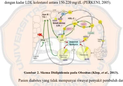 Gambar 2. Skema Dislipidemia pada Obesitas (Klop, et al., 2013).