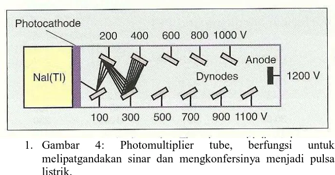 Gambar 4: Photomultiplier tube, berfungsi untuk melipatgandakan sinar dan mengkonfersinya menjadi pulsa listrik