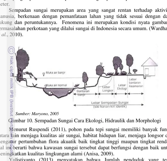 Gambar 10. Sempadan Sungai Cara Ekologi, Hidraulik dan Morphologi  Menurut  Ruspendi  (2011),  pohon  pada  tepi  sungai  memiliki  banyak  fungsi  antara lain menjaga kualitas air sungai, habitat hidupan liar, menjaga longsor dan  mengatur  pertumbuhan  f