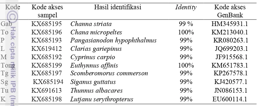 Tabel 3 Hasil Identifikasi menggunakan BLASTn 