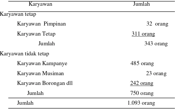Tabel 6 Jumlah Karyawan PG Tjoekir, 2005 