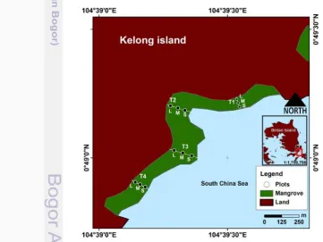 Figure 1. Study sites showing the four transect locations (T1–T4) and the landward ( L), middle (M), and 