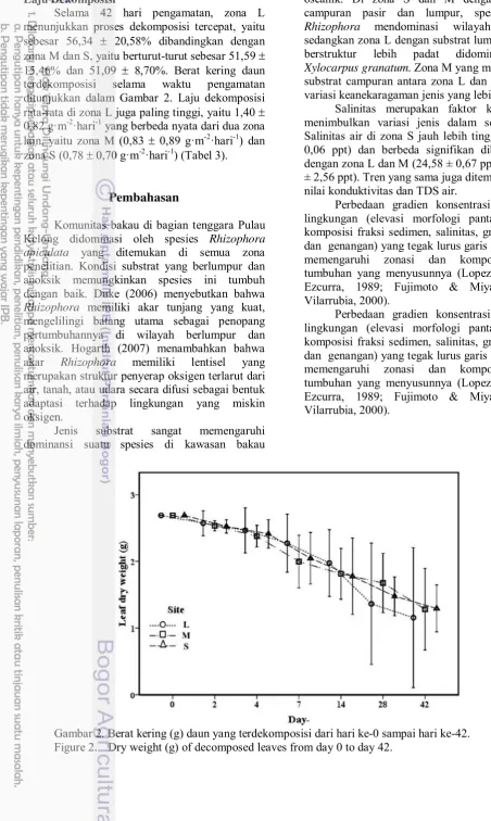 Figure 2. Dry weight (g) of decomposed leaves from day 0 to day 42.  
