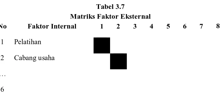Tabel 3.7 Matriks Faktor Eksternal 