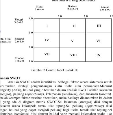 Gambar 2 Contoh tabel matrik IE 