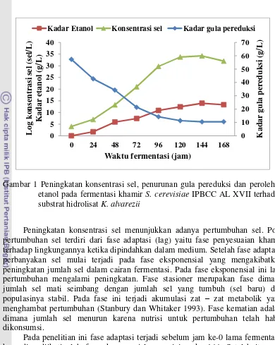 Gambar 1 Peningkatan konsentrasi sel, penurunan gula pereduksi dan perolehan 