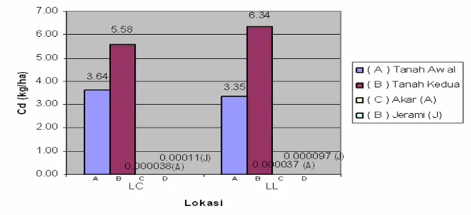 Gambar 4 .  Perbandingan Kandungan Logam Cd pada Pengamatan Tanah Awal, Kedua, Akar Tanaman, dan Jerami di Lokasi LC dan LL