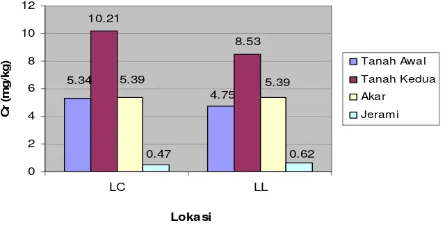 Gambar 6.  Perbandingan Kandungan Logam Cr pada Pengamatan Tanah Awal, Kedua, Akar Tanaman, dan Jerami di Lokasi LC dan LL