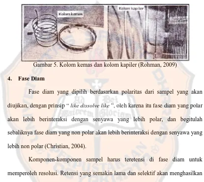 Gambar 5. Kolom kemas dan kolom kapiler (Rohman, 2009)