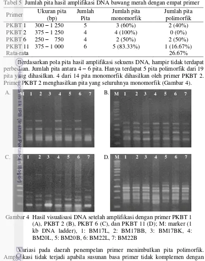 Tabel 5  Jumlah pita hasil amplifikasi DNA bawang merah dengan empat primer 