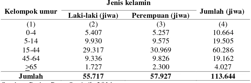 Tabel 3.  Penduduk Kecamatan Medan Sunggal menurut kelompok umur dan jenis kelamin 