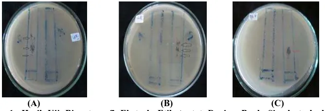 Gambar 1. Hasil Uji Bioautografi Ekstrak Etil Asetat Daging Buah Sirsak terhadap Staphylococcus aureus (A), Shigella sonnei (B), dan Pseudomonas aeruginosa (C)