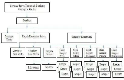Gambar 3.1 Struktur Organisasi Kebun Binatang Bandung 