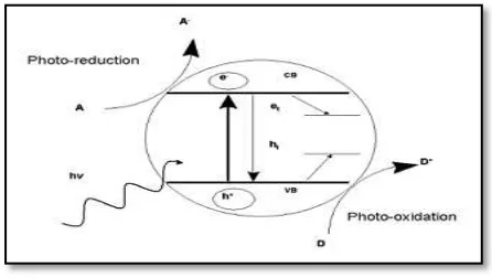 Figure 2.1: Basic principle of photocatalyst 