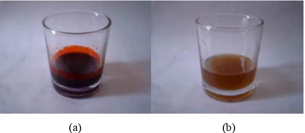 Gambar 9. Fraksi minyak (a) dan fraksi air buah merah (b)  