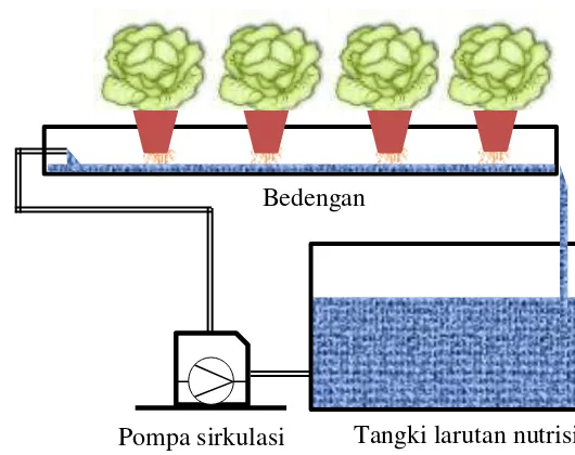 Gambar 1  Skema sistem NFT untuk budidaya tanaman 