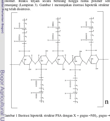 Gambar 1 Ilustrasi hipotetik struktur PSA dengan X = gugus –NH2, gugus –OH 