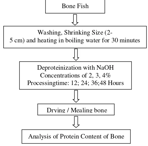Figure 1.Analysis of Protein Content of Bone  Deproteinization Procedure. 