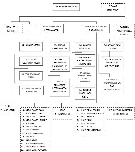 Gambar 3.1 Struktur Organisasi RS. Paru dr. H.A. Rotinsulu 