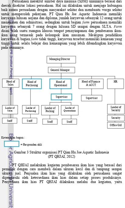 Gambar 3 Struktur organisasi PT Qian Hu Joe Aquatic Indonesia 