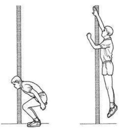 Gambar 4. Pelaksanaan Tes Vertikal Jump Sumber : https://physioandrehab.files.wordpress.com/2012/09/how-to-increase-your-vertical-jump.jpg 