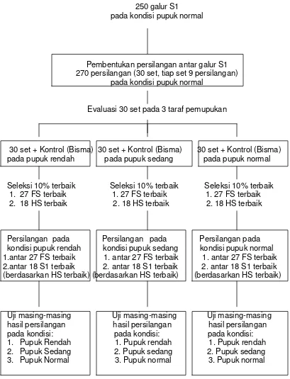 Gambar 1  Diagram pelaksanaan kegiatan penelitian.  