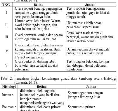 Tabel 2. Penentuan tingkat kematangan gonad ikan kembung secara histologi                  (Larasati, 2011)