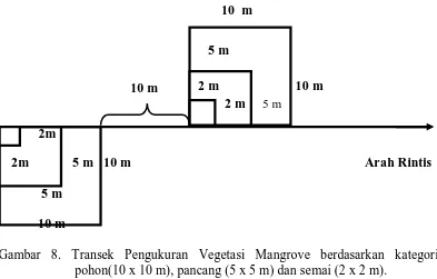 Gambar 8. Transek Pengukuran Vegetasi Mangrove berdasarkan kategori                         pohon(10 x 10 m), pancang (5 x 5 m) dan semai (2 x 2 m)