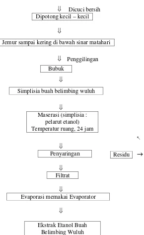 Gambar 3 Diagram alir eksatraksi simplisia buah belimbing wuluh