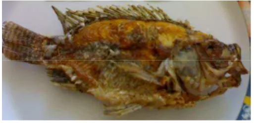 Gambar 3. Ikan mujair goreng 